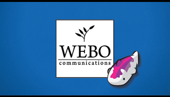 Webo Communications - Contact